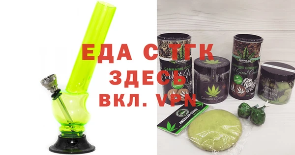 индика Сатка