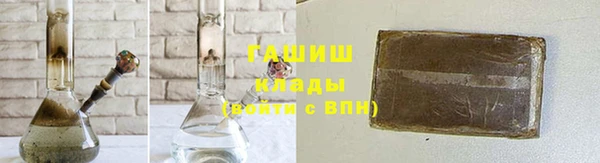 индика Сатка