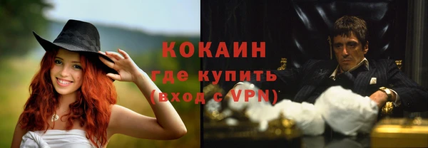 индика Сатка