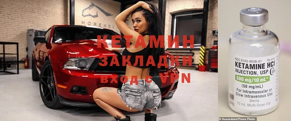 индика Сатка